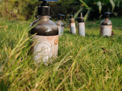 🌿 Mr. Laleberk Organics Shampoo – Unlock Silky, Strong, and Shiny Hair Naturally!